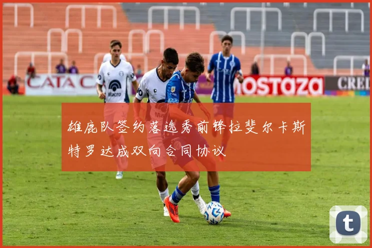 雄鹿队签约落选秀前锋拉斐尔卡斯特罗达成双向合同协议